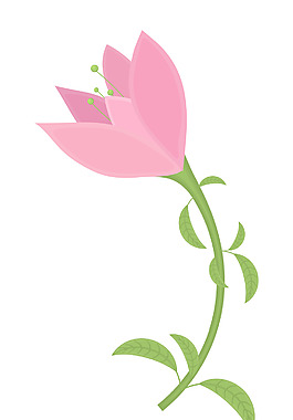 粉紅色的郁金香花設(shè)計(jì)