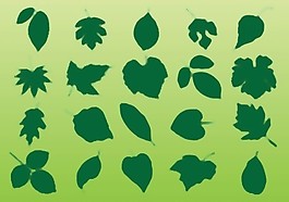 植物的葉子矢量