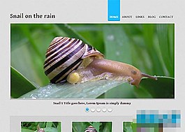 灰色背景大圖幻燈簡(jiǎn)潔html5模板