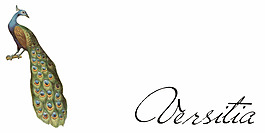 versitia字體