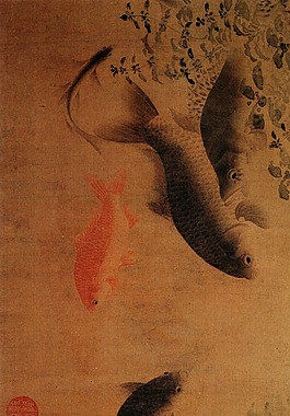 游來游去