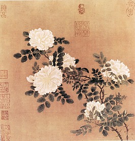 印章牡丹