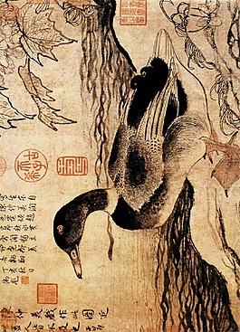 鴨子
