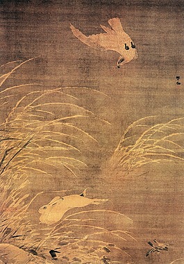 奔跑的兔子