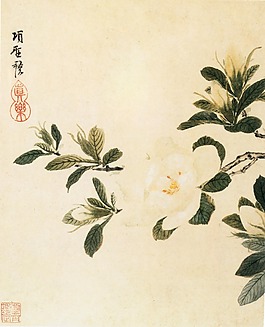 工筆花卉
