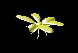 蜜蜂