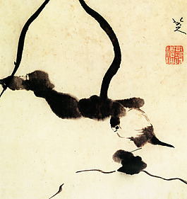 小鳥