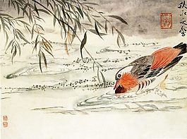 鴛鴦戲水