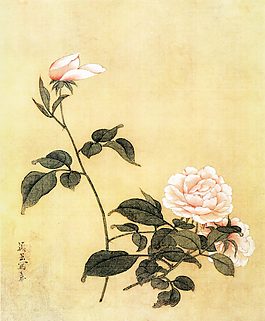 國(guó)畫(huà)牡丹