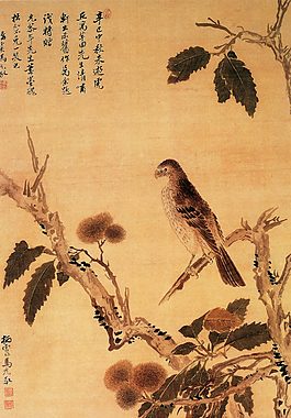 翠鳥