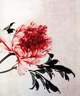 牡丹爭艷