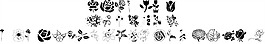 wmflowers1字體