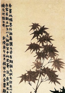 花卉
