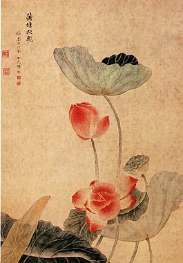 荷叶花开