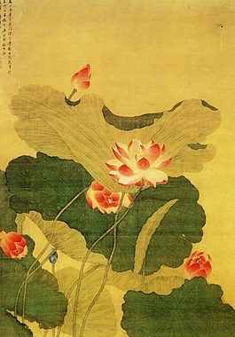 荷花荷葉