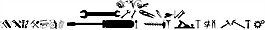 wmtools1字體