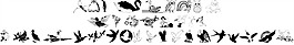 wmbirds1字體