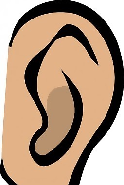 earbody部分剪貼畫(huà)