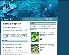 海洋珊瑚模板
