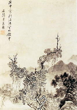 山石上的樹木