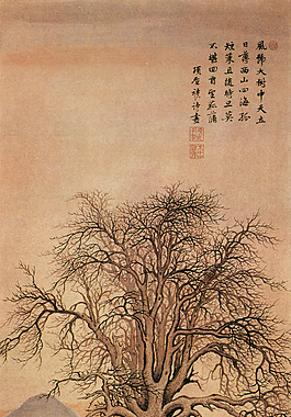 參天大樹