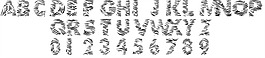101。斑馬打印字體