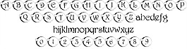 101。星光熠熠的權利的字體