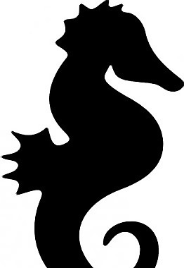 海馬的剪影藝術剪輯