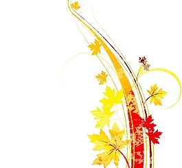 水彩花卉背景矢量