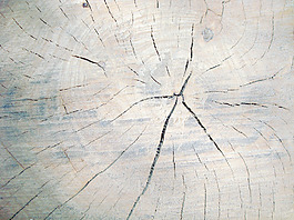 wooden_texture