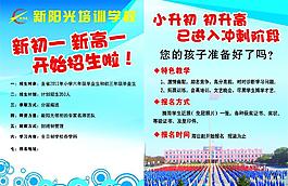 新陽光培訓學校
