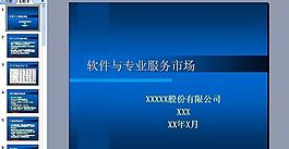 軟件與專業服務市場