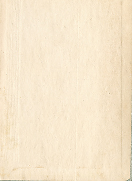 本書的內(nèi)部53個(gè)紋理