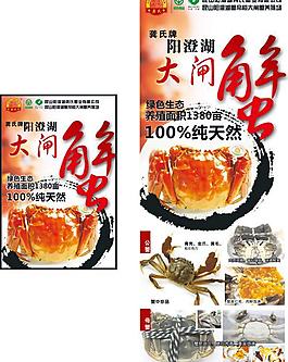 大閘蟹海報(bào)矢量圖