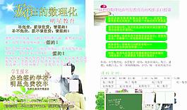 教育傳單