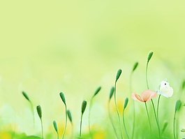 春暖花開淡雅背景圖片