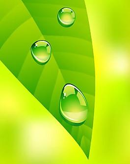 清新綠葉水珠矢量圖