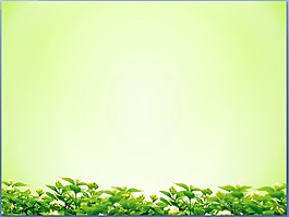 淡雅綠色PPT背景