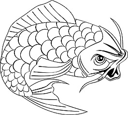 錦鯉魚跳線圖
