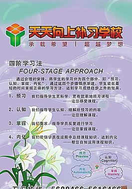 培訓(xùn)學(xué)校宣傳單