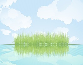 在水載體反映草