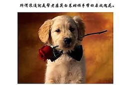 一張圖一句話訴說(shuō)人生哲理ppt
