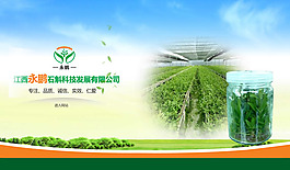 鐵皮石斛種植企業flash網站片頭
