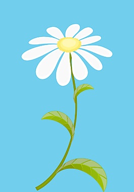 白色的雛菊矢量插畫