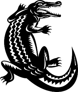 鱷魚