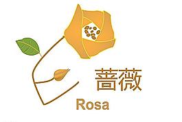 薔薇