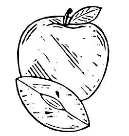 線描蘋果