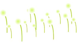 透明flash蒲公英動(dòng)畫素材