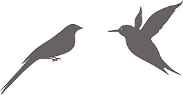 鳥類矢量