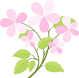 粉紅色的花分公司